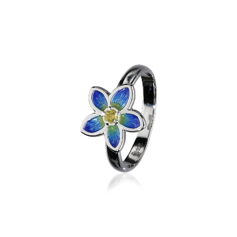 ladies rings gemstone clusters -Happy Valley Silver Ring ECR2