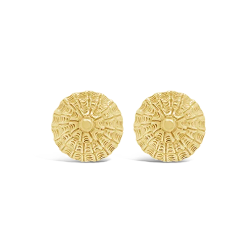 ladies yellow gold earrings daily -Gold Shell Earrings